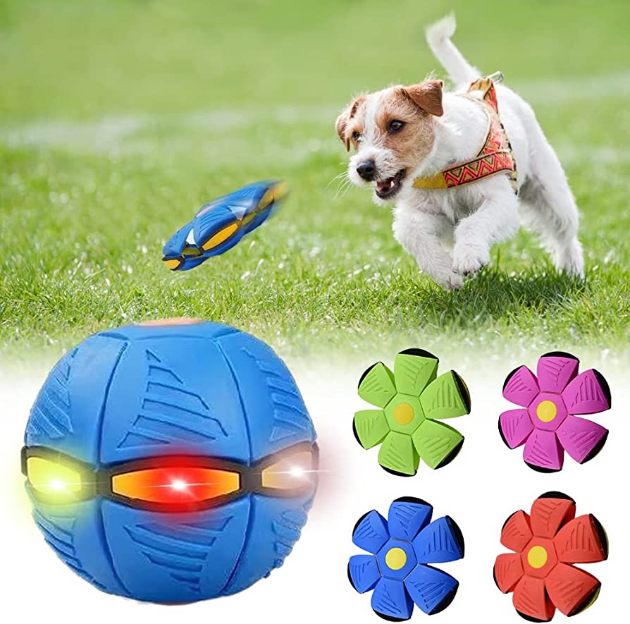 Tailyze ™ Dog Frisbee