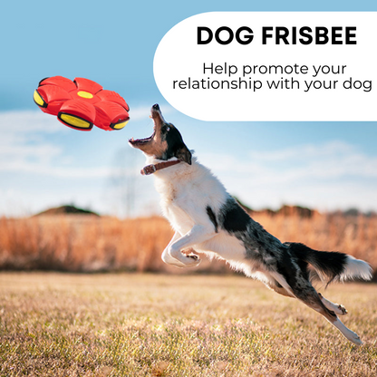 Tailyze ™ Dog Frisbee