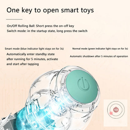 Tailyze Interactive Ball