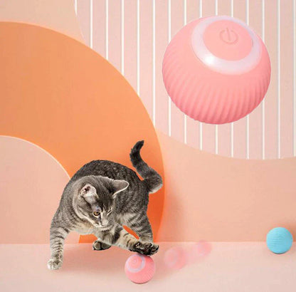 Tailyze Interactive Ball