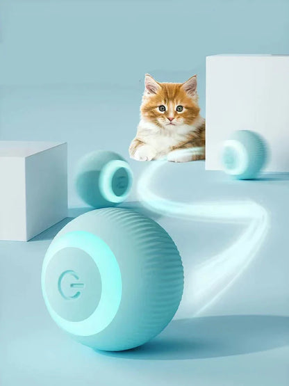 Tailyze Interactive Ball