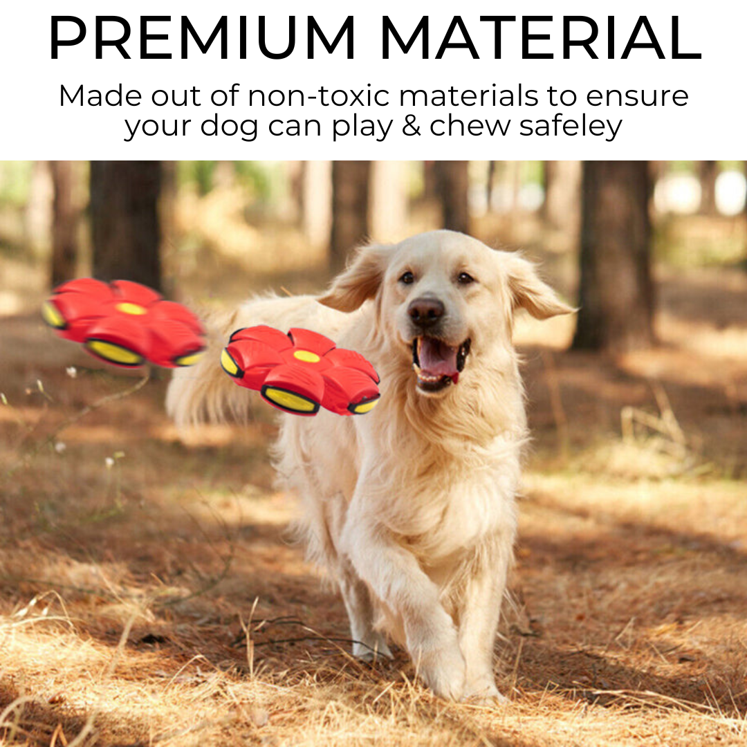 Tailyze ™ Dog Frisbee