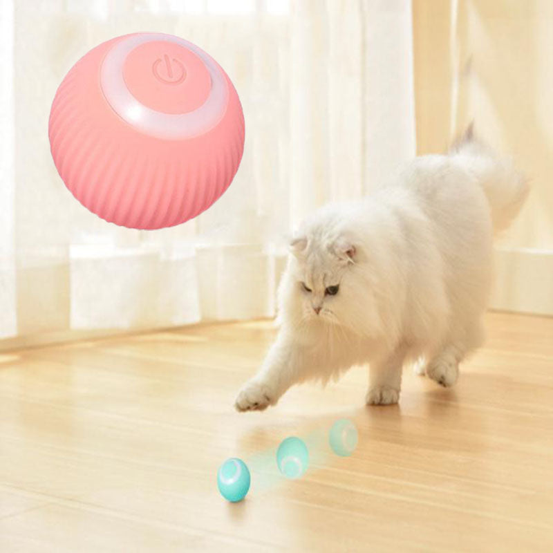 Tailyze Interactive Ball