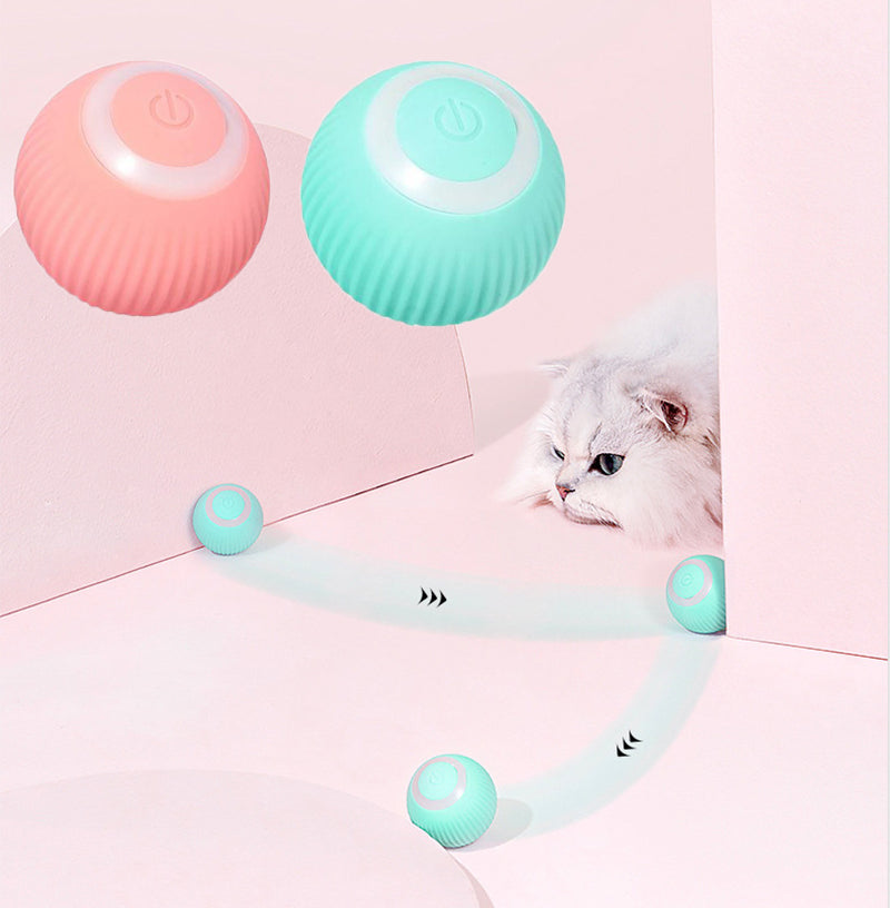 Tailyze Interactive Ball